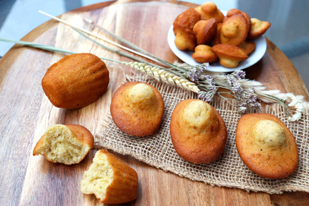 madeleines et mini-madeleines vanille