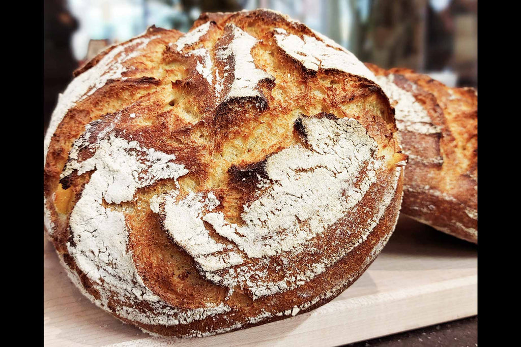 Pain au levain avec farine de blé et maïs et pépites de polenta crémeuse, parfait pour vos grilled cheese!